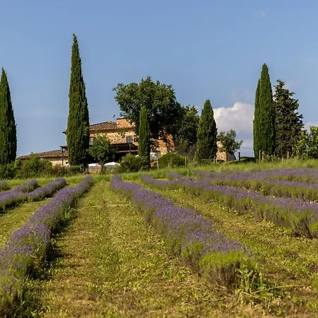 Lodge Pometti - Boscarello Trequanda